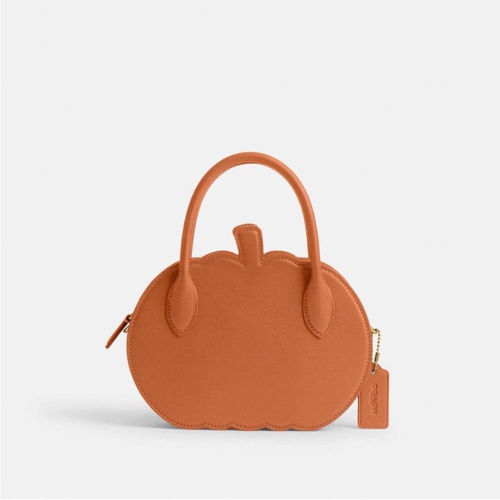 Coach Orange Pumpkin bag NWT